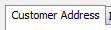 9. Customer Address tab